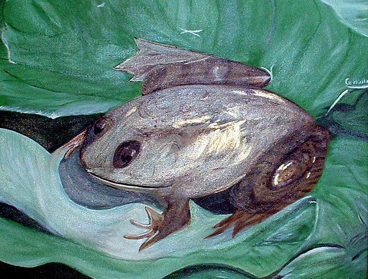 Grenouille Painting by Genevieve Holland