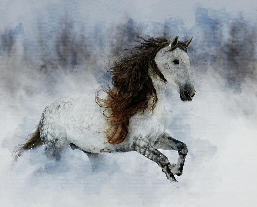 Grey Andalusian In A Snowstorm Digital Art By Tim Vogel
