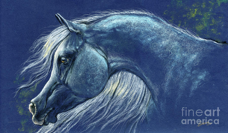 Grey arabian horse 2020 10 12 Pastel by Ang El