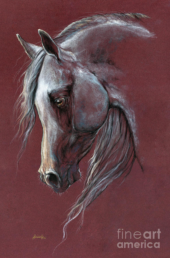 Grey arabian horse 2020 10 20 Pastel by Ang El