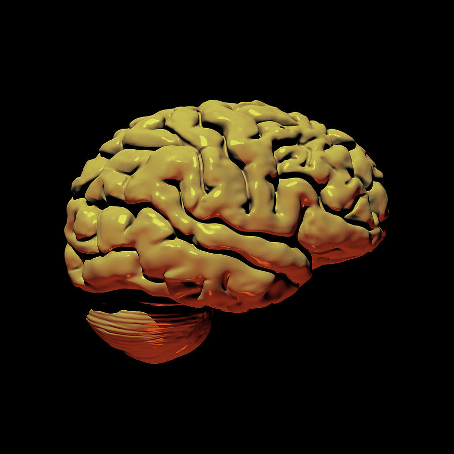 Grey Brain on Black Digital Art by Russell Kightley
