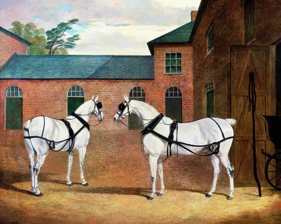Grey carriage horses in the coachyard at Putteridge Bury Painting by John Frederick Herring