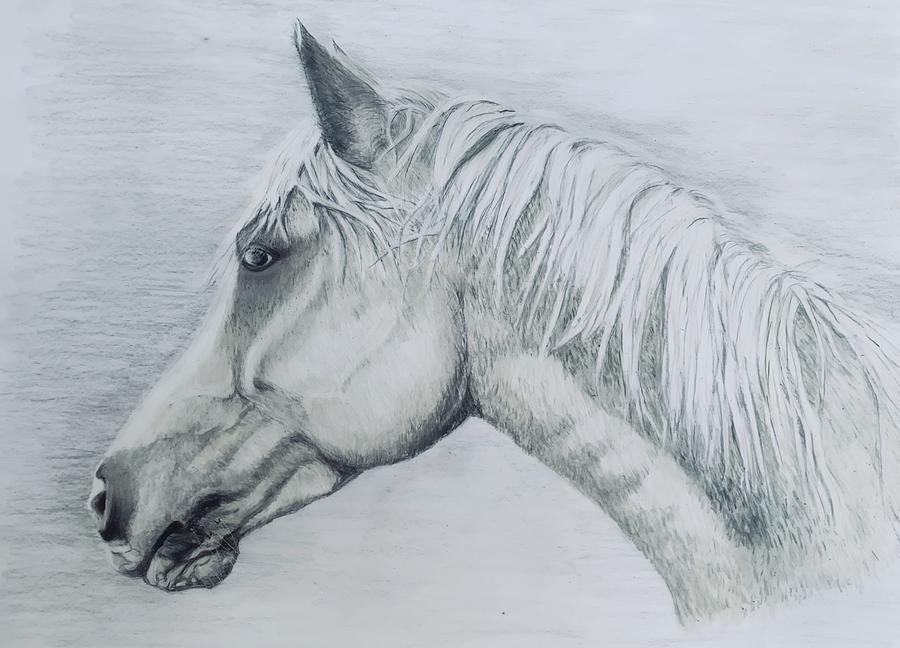 Grey Horse Portrait Painting