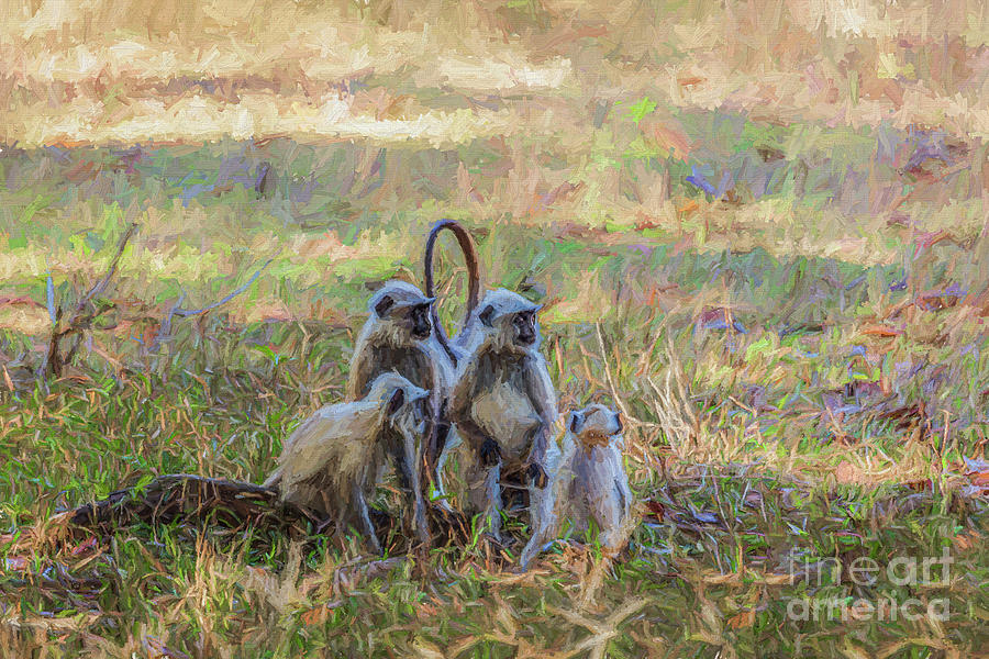 Grey Langur Monkeys Digital Art by Liz Leyden