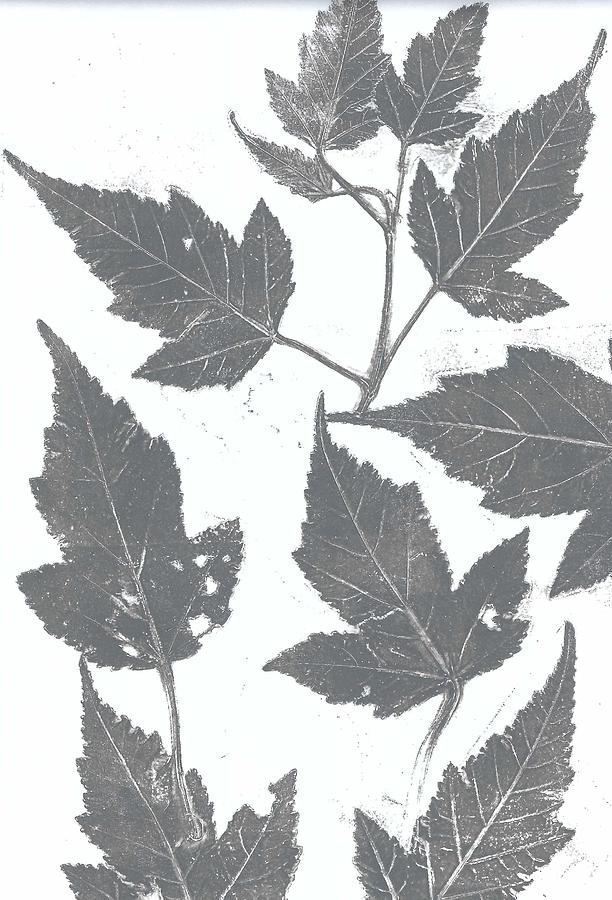 Grey maple leaves Painting by Ruth Kamenev