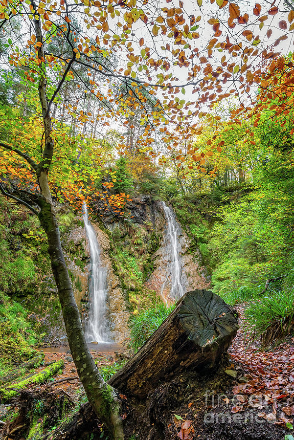 Snowdonia National Park Photograph - Grey Mares Tail Waterfall Wales by Adrian Evans
