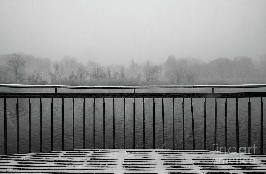 Grey  Snow Outlook Photograph