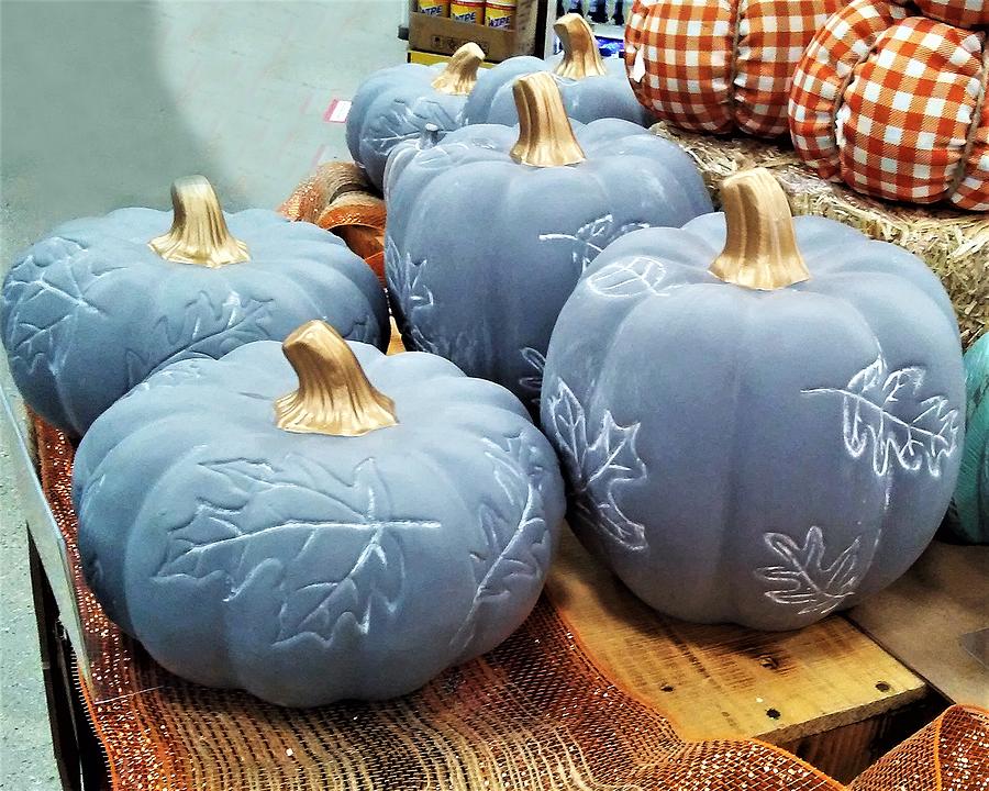 Grey Pumpkins Photograph by Andrew Lawrence