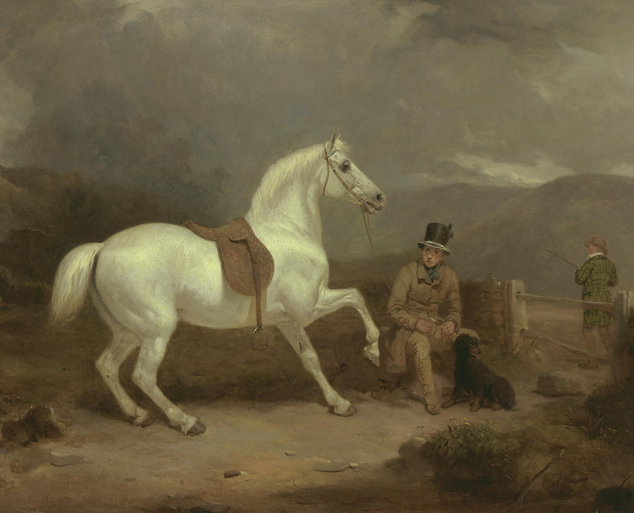 Grey Shooting Pony Painting by Thomas Woodward