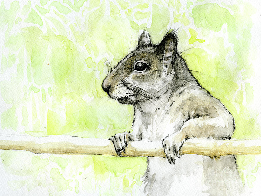 Wildlife Painting - Grey squirrell by Ang El