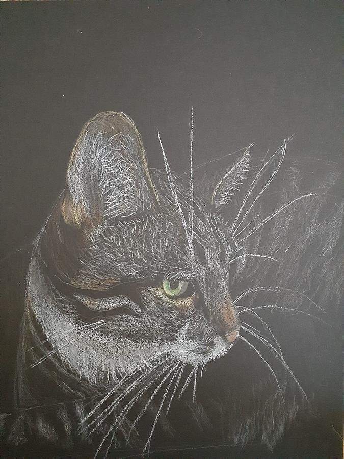 Grey Tabby Drawing by Tina Alley - Fine Art America