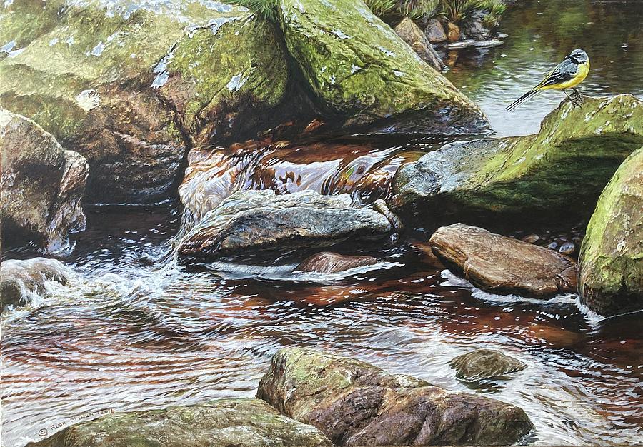 Grey Wagtail Painting by Alan M Hunt
