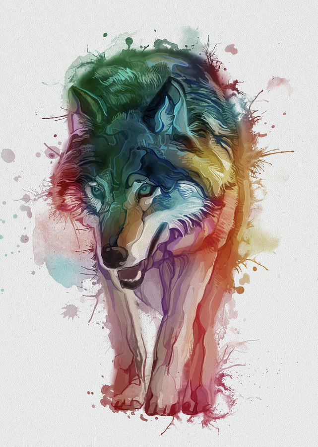Grey Wolf Colorful Watercolor Digital Art