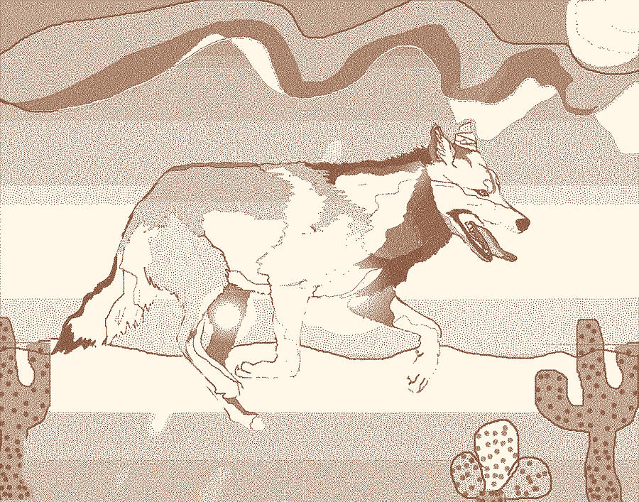 Grey Wolf In The Desert Drawing Digital Art