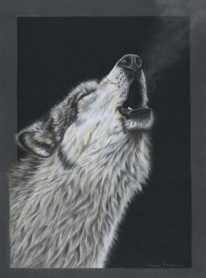 Grey Wolf Pastel by Twyla Francois