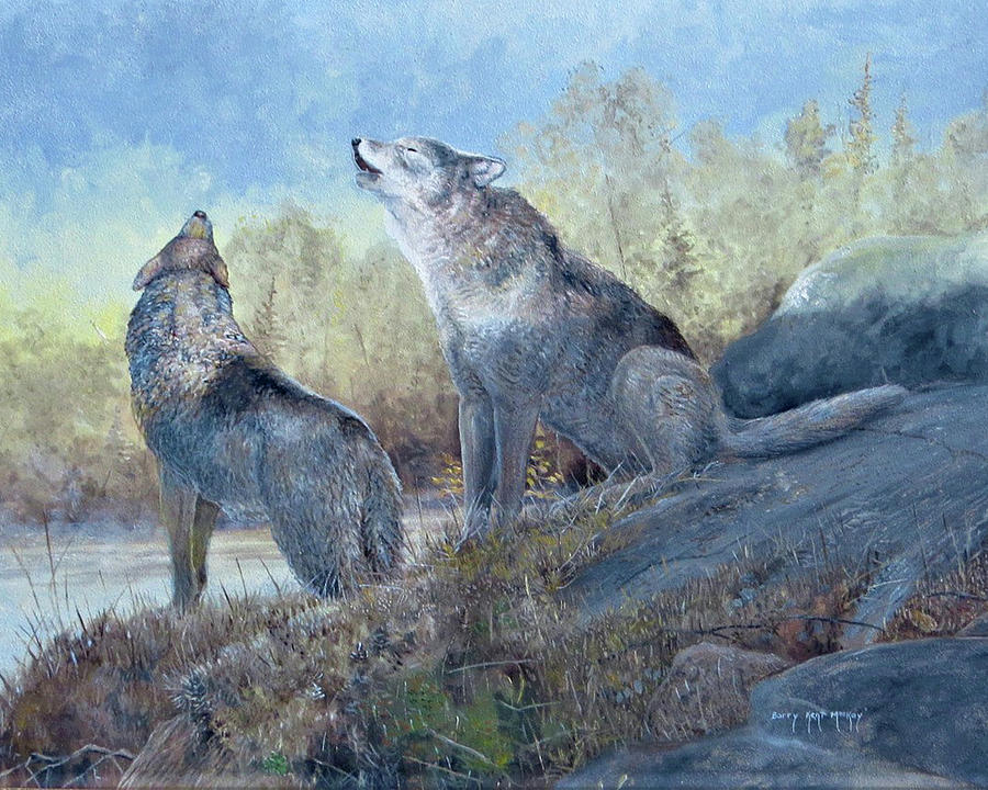 Grey Wolves Howling Painting by Barry Kent MacKay