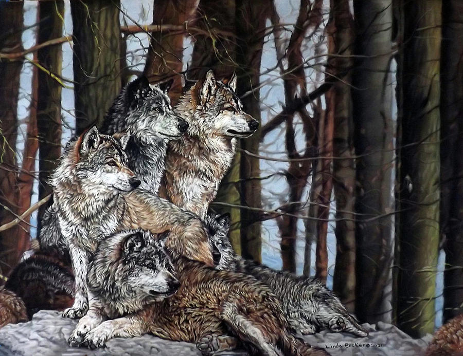 Grey Wolves Painting by Linda Becker