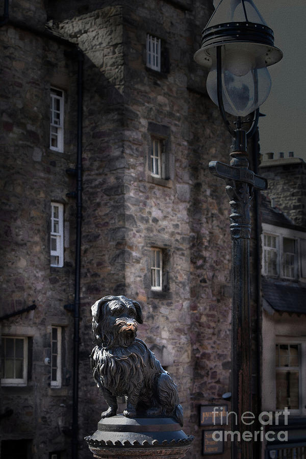 Greyfriars Bobby Fountain Statue Photograph by Yvonne Johnstone