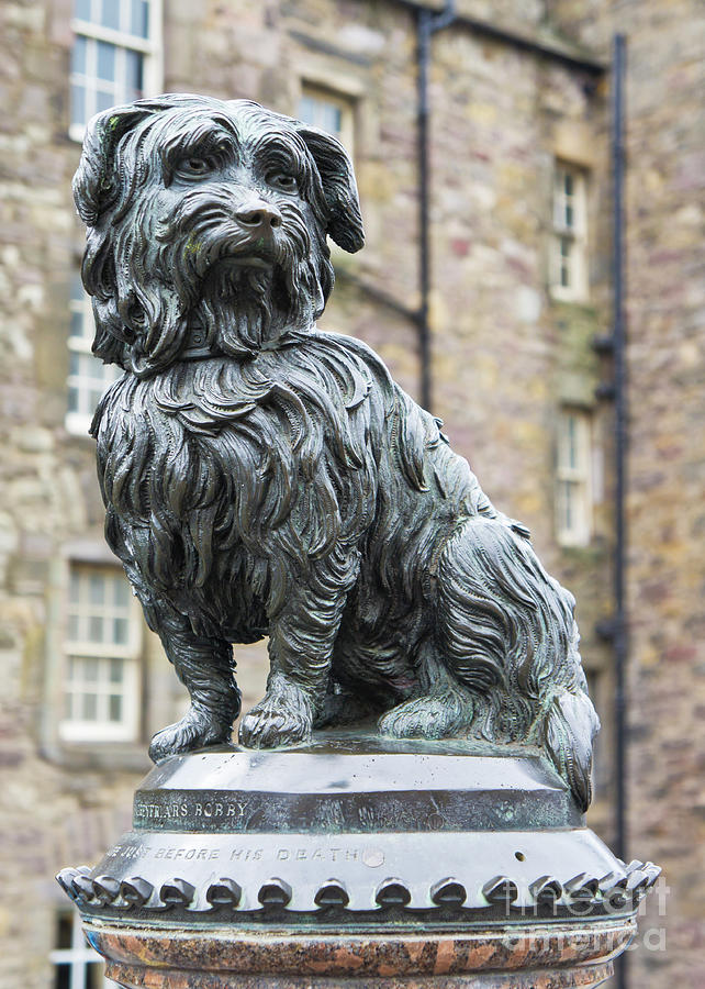 Greyfriars Bobby monument, Edinburgh, Scotland Photograph by Neale And ...