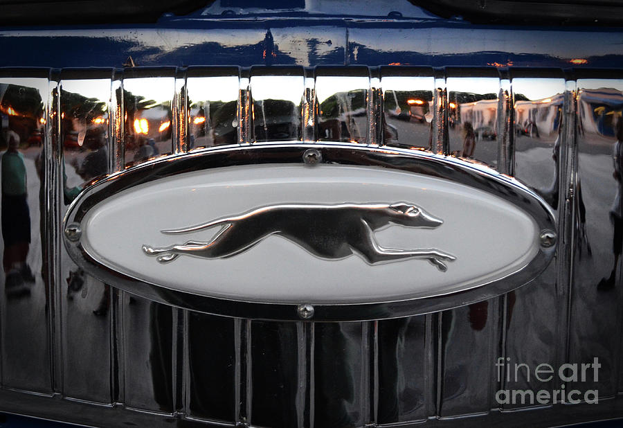 Greyhound Bus Logo Photograph by Ron Long