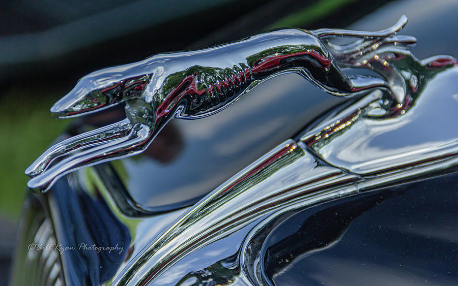 Greyhound hood ornament Photograph by Bill Ryan - Pixels