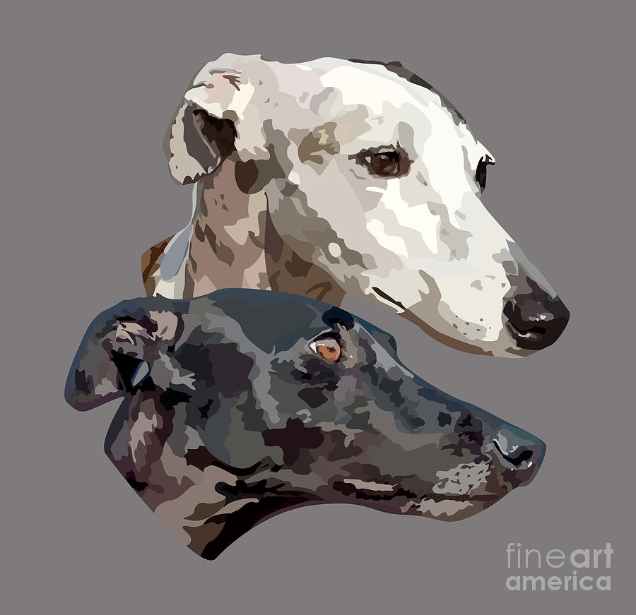 Greyhounds drawing Digital Art by Blondia Bert Pixels