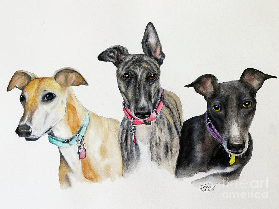 Greyhounds Saved Painting by Shirley Dutchkowski