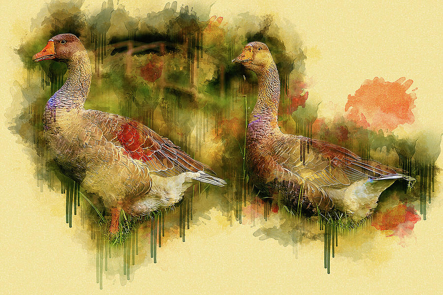 Nature Photograph - Greylag Geese_Painted by Steve Rich