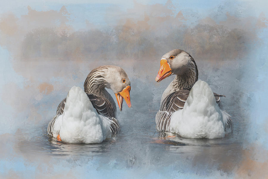 Goose Photograph - Greylag Goose Couple by Patti Deters