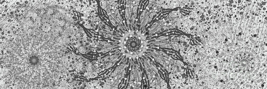 Greyscale Pinwheel Panorama Digital Art by Bentley Davis