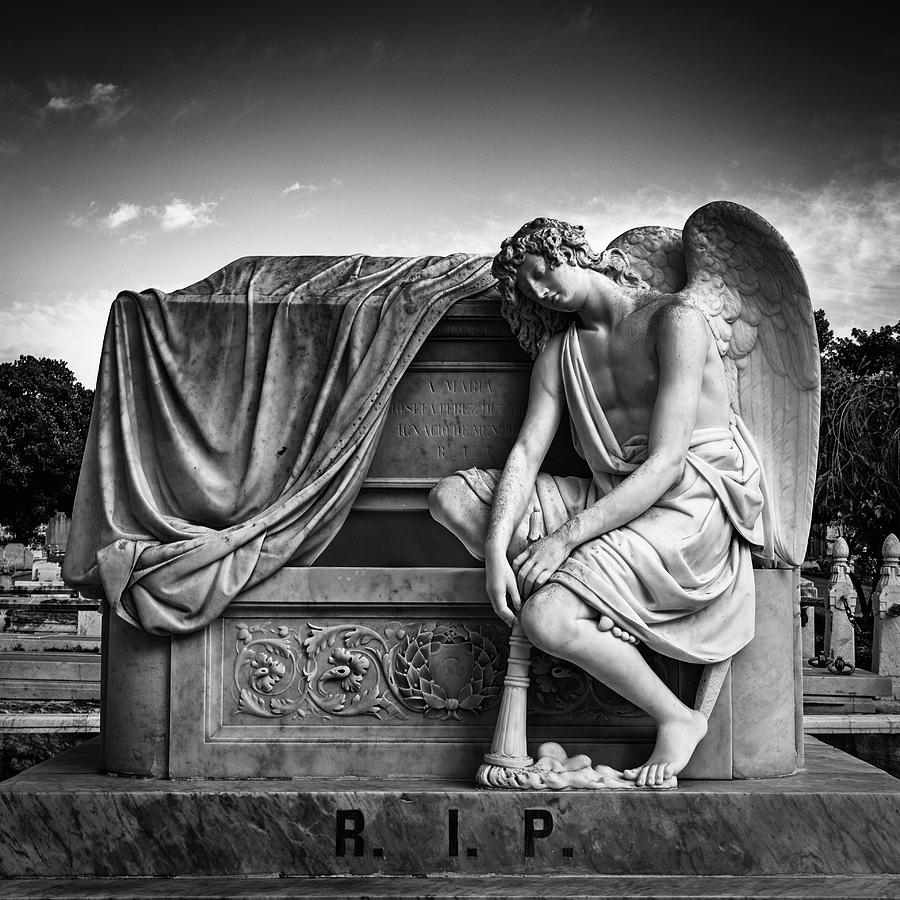 Grief Photograph by Mike Schaffner