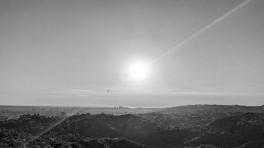 Griffith Park Facing West with Hawk and Ocean View Photograph by Jera Sky