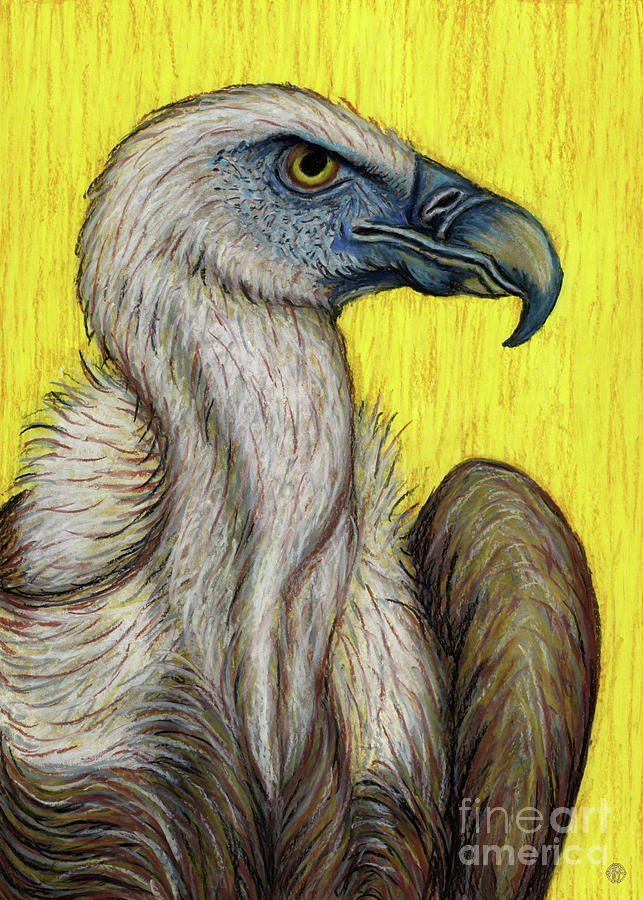 Griffon Vulture Painting by Amy E Fraser