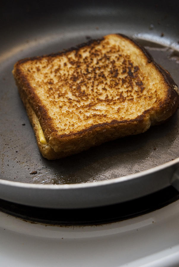 Grilled cheese sandwich Photograph by Marlene Ford