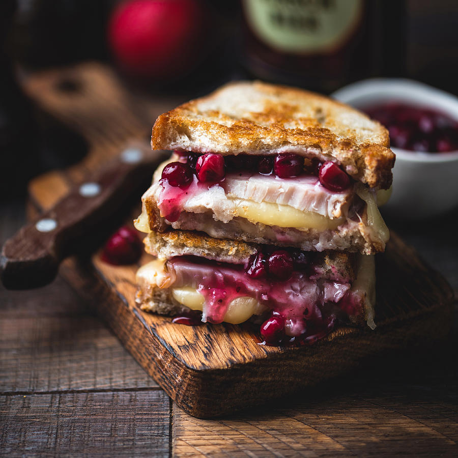 Grilled cheese sandwich with turkey and cranberry sauce Photograph by Arx0nt