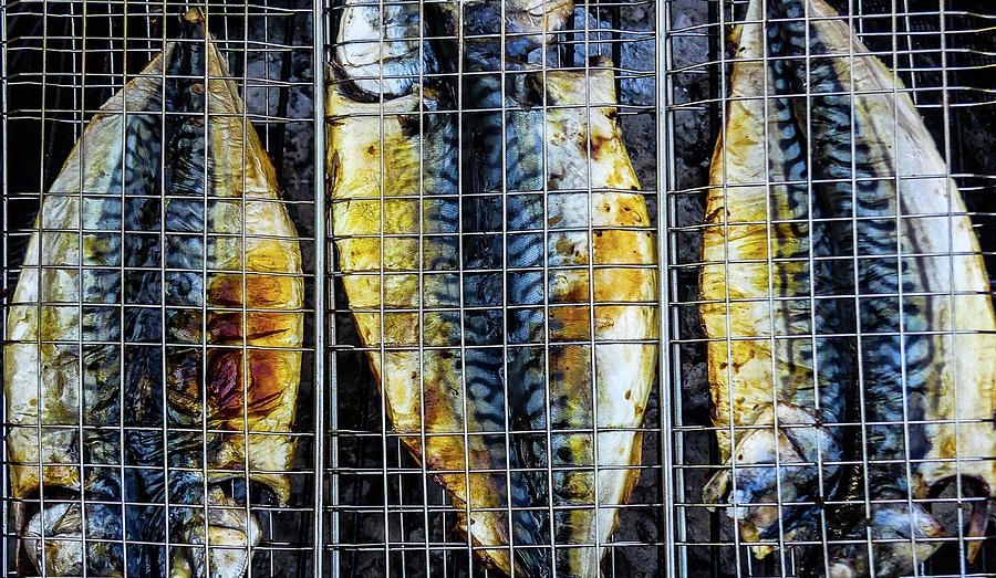 Grilled fish Second Photograph by Hyuntae Kim
