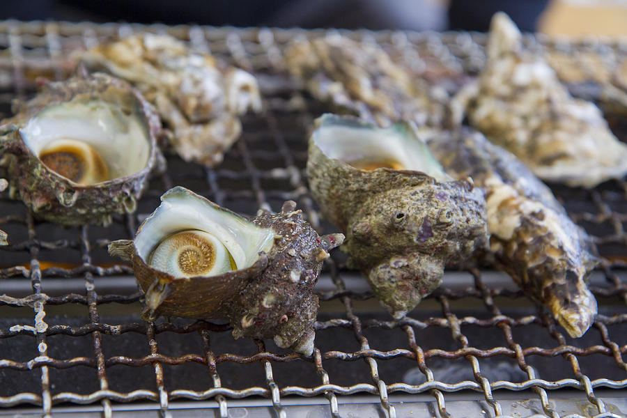 Grillin Shellfish Photograph by Biscut