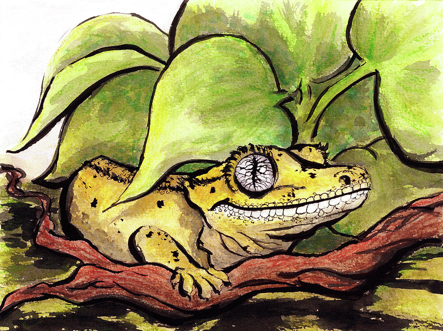 Crested Gecko Mixed Media - Grinning Gecko by Brianna Moore Crested Gecko Mixed Media - Grinning Gecko by Brianna Moore