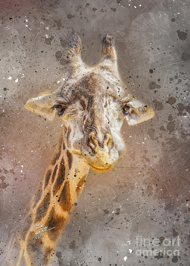 Grinning Giraffe Watercolor  Photograph by TK Goforth