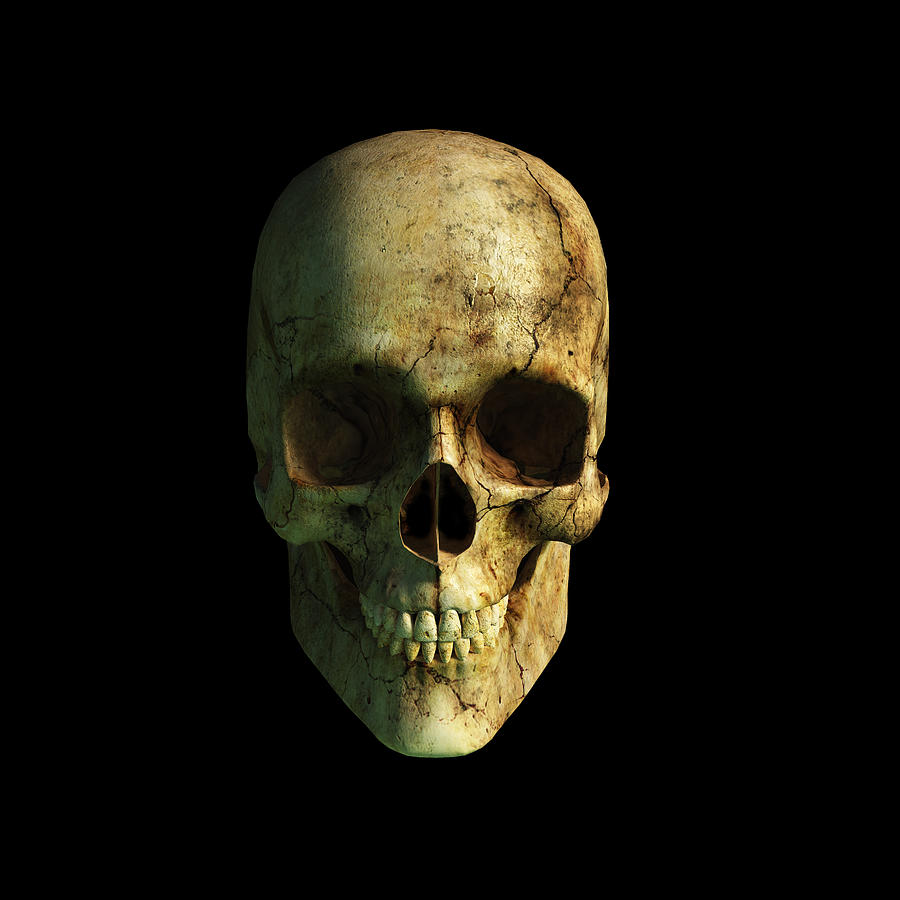 Grinning Skull Digital Art by Daniel Eskridge