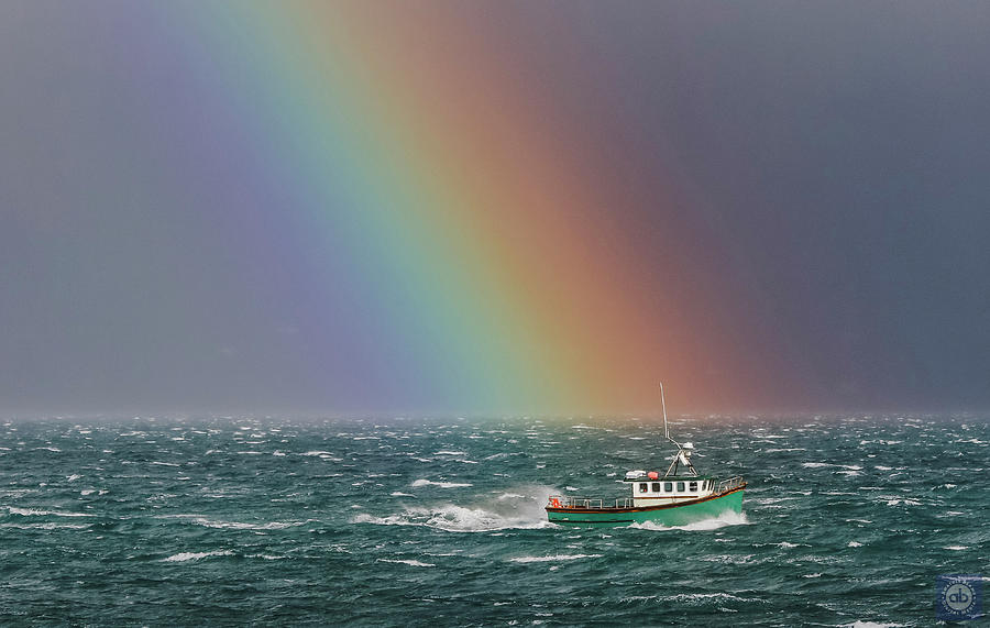 Gripper and the rainbow Photograph by Anatole Beams