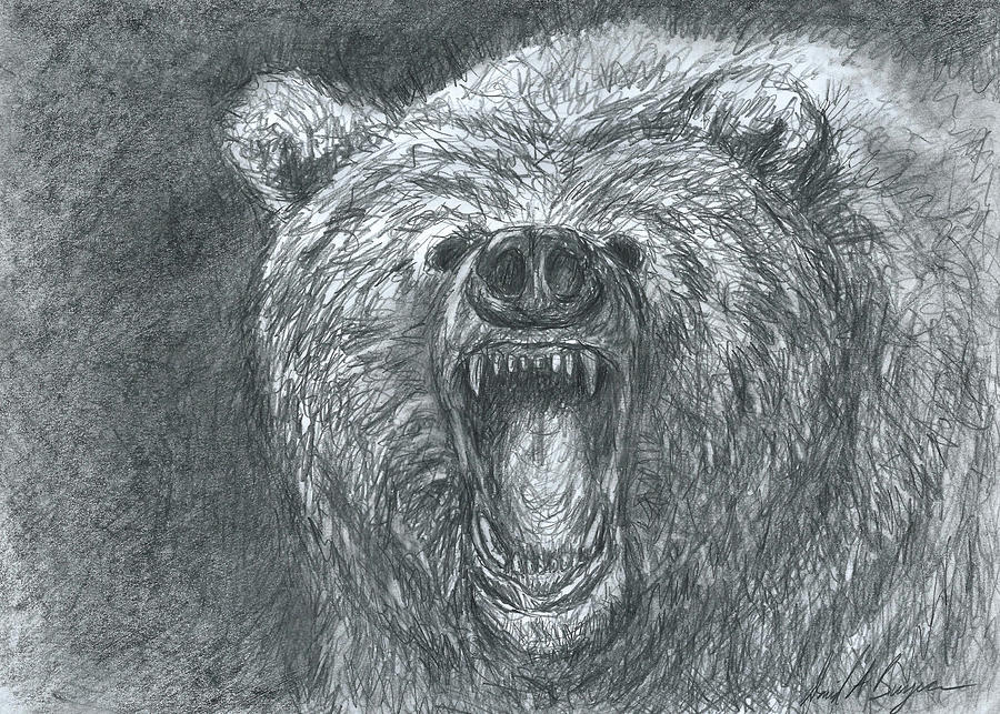Grizzled Drawing by David Burgess