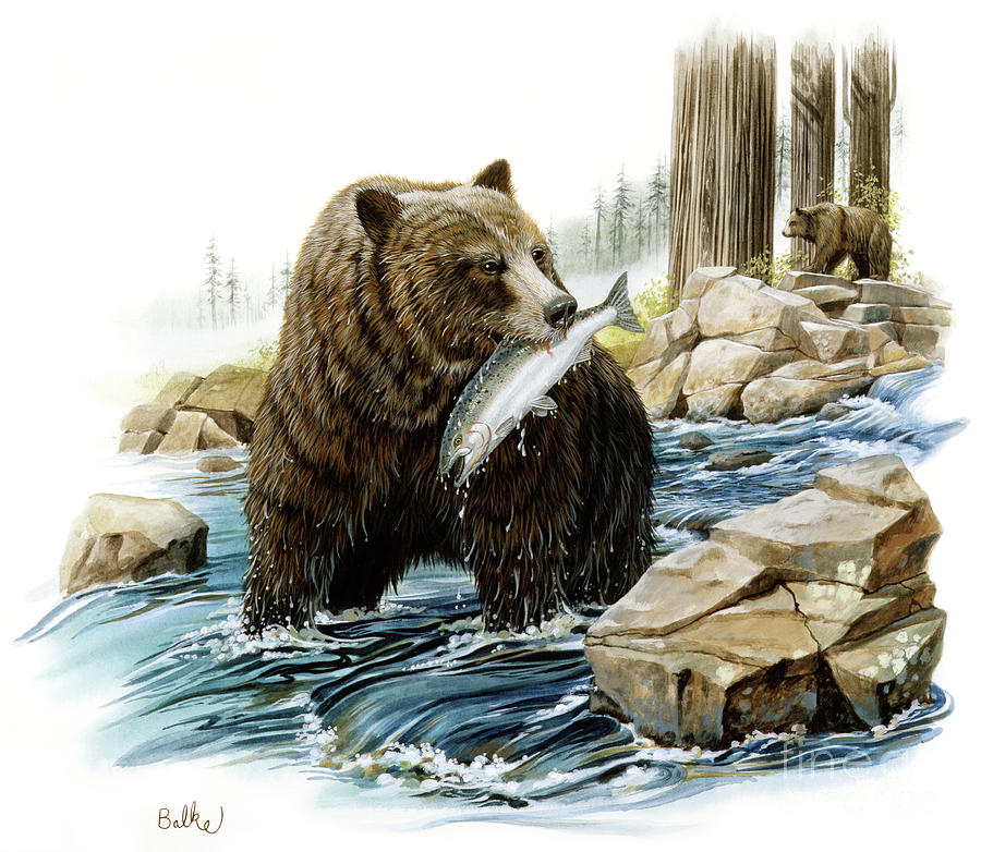 Grizzly Bear and Redwood Painting by Don Balke