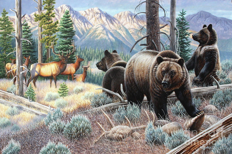 Yellowstone National Park Painting - Grizzly Bear Family And Elk by Cynthie Fisher