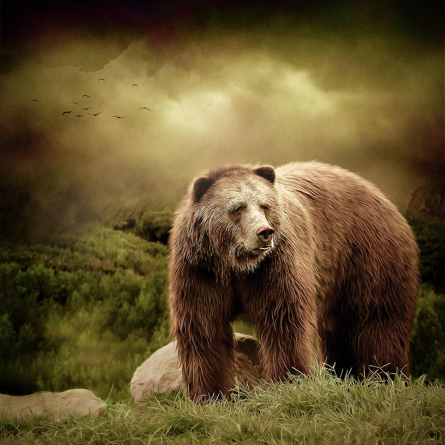 Grizzly Bear Digital Art by Maggy Pease