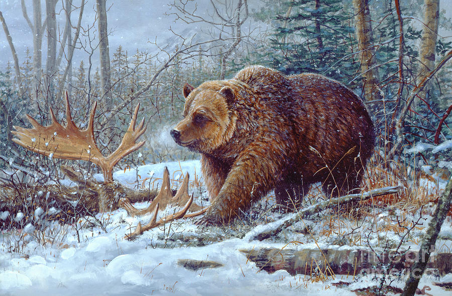 Grizzly Bear Painting by Scott Zoellick