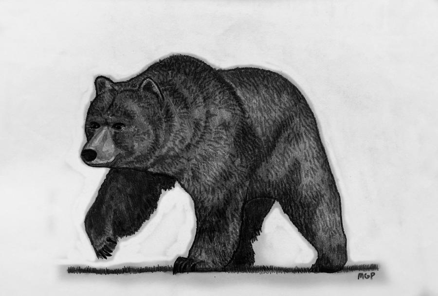 Grizzly Bear Sketch Drawing by Michael Panno - Fine Art America