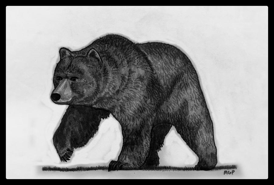 Grizzly Bear Sketch W/ Border Drawing by Michael Panno - Fine Art America