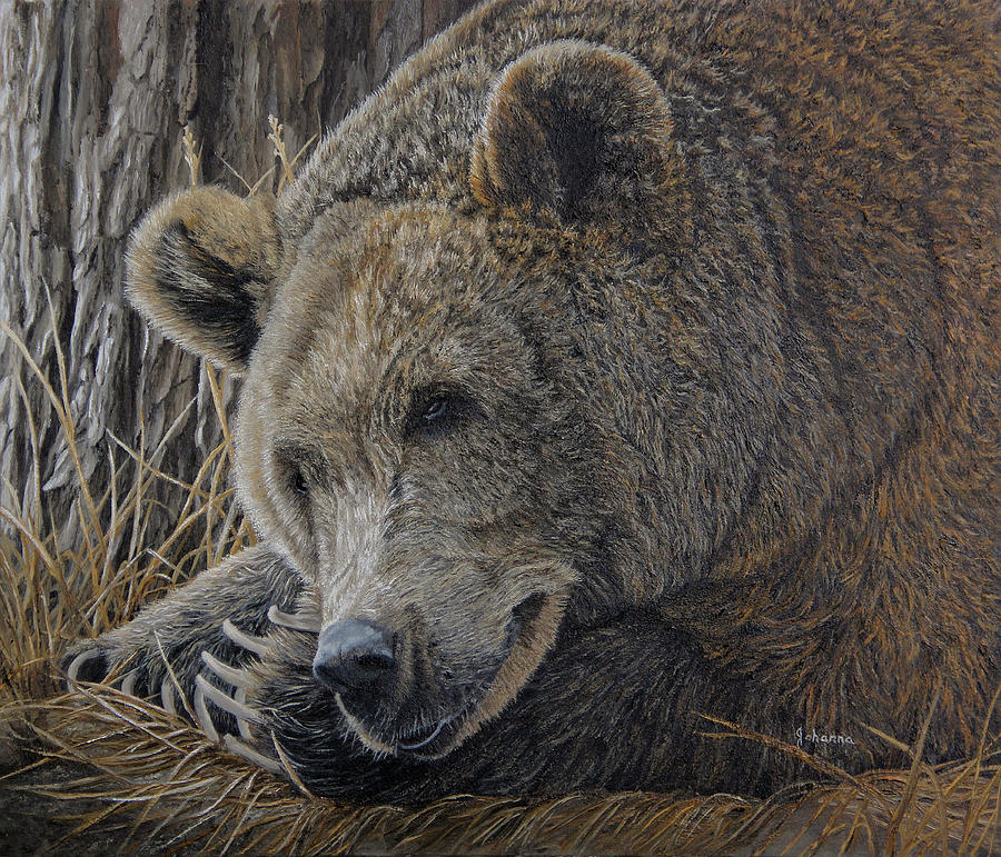 Grizzly Repose Painting by Johanna Lerwick