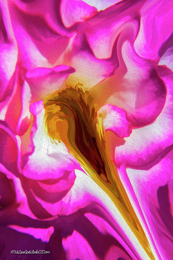 Groovy Painted Wild Rose Photograph by LeeAnn McLaneGoetz ...